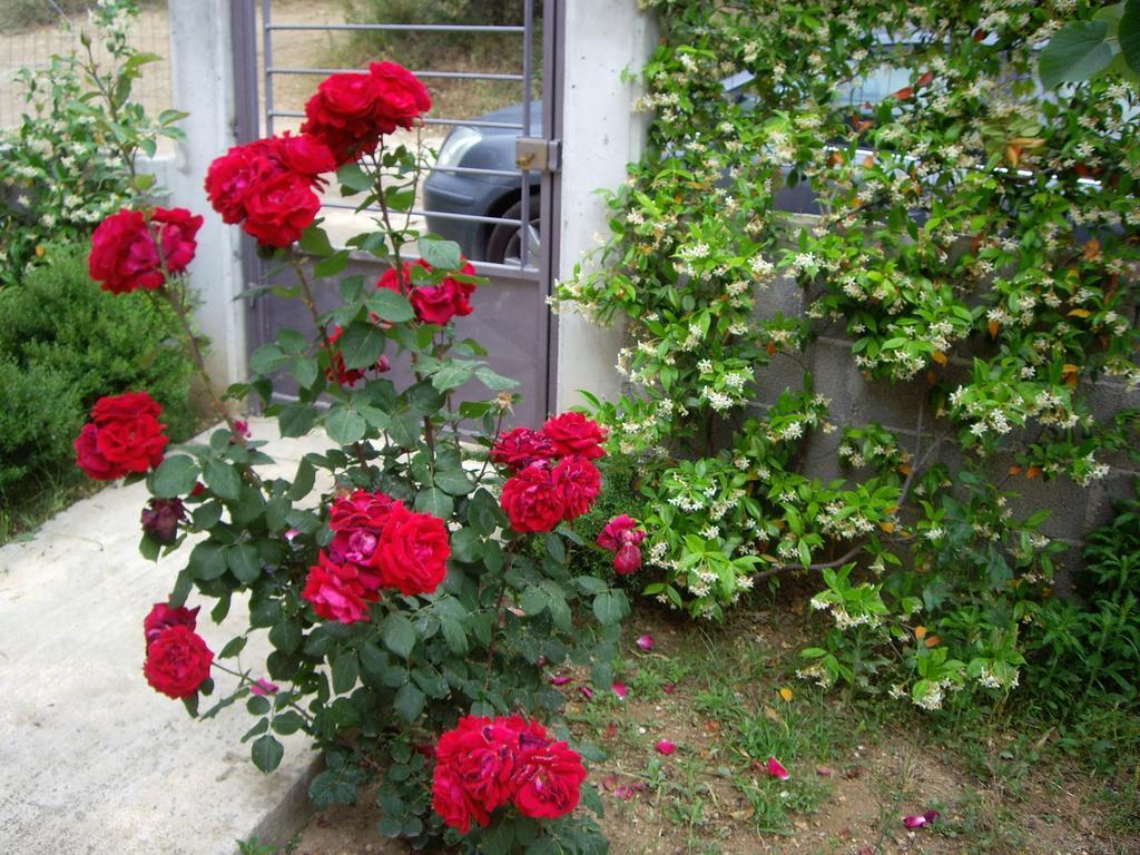 아기라 View House 빌라 외부 사진